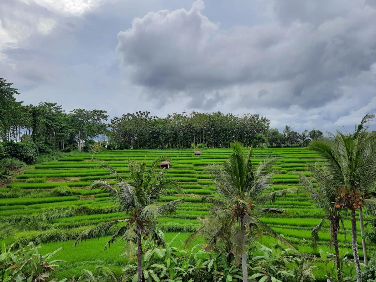 Serenity Private Villa Mas Ubud Exterior foto